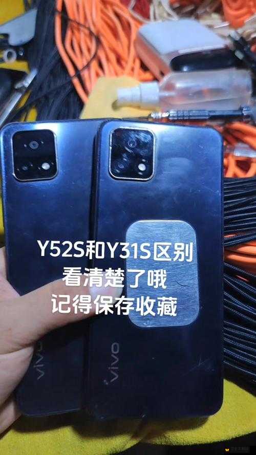 成色好的 Y31S 标准版下载：带你了解其详细信息与独特魅力