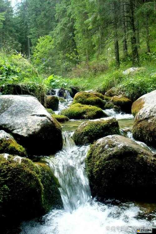 黄龙直捣溪水潺潺：奇景震撼心灵，大自然的壮丽画卷